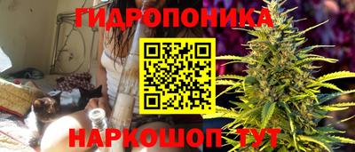 apvp Гусев