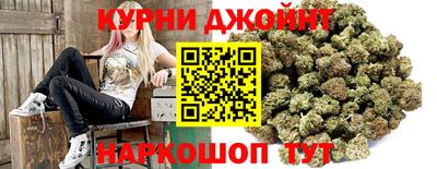 apvp Гусев