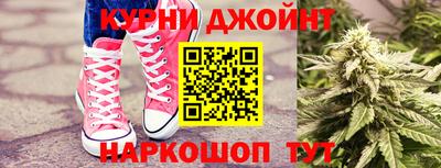 apvp Гусев