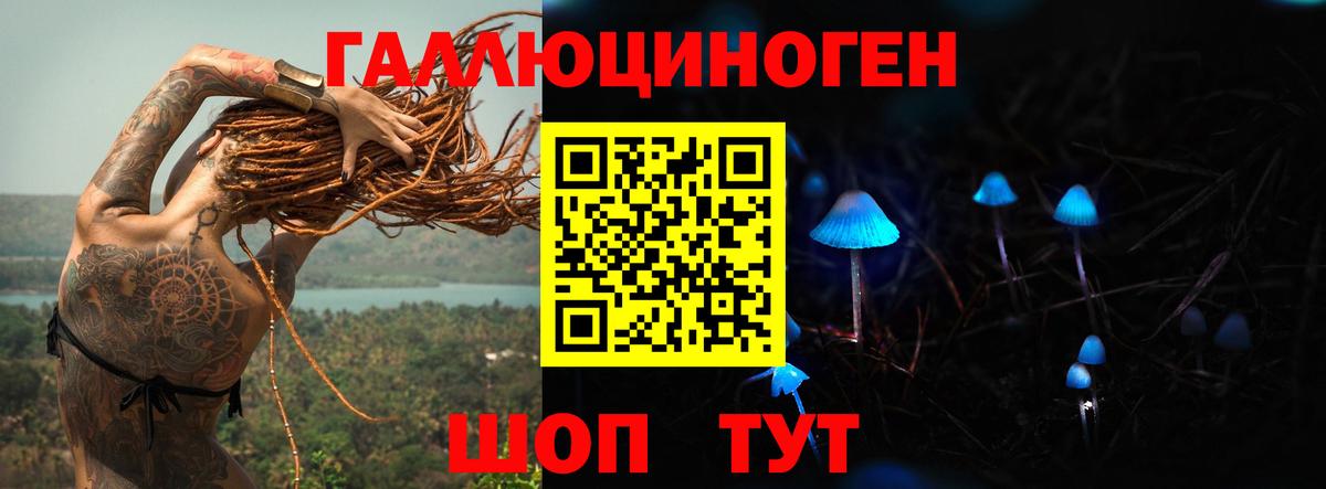 Псилоцибиновые грибы MAGIC MUSHROOMS  закладки  Можайск  Вход с VPN  Галлюциногенные грибы GOLDEN TEACHER 